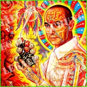 Hofmann Style 2 Stk. *LIKE LSD*